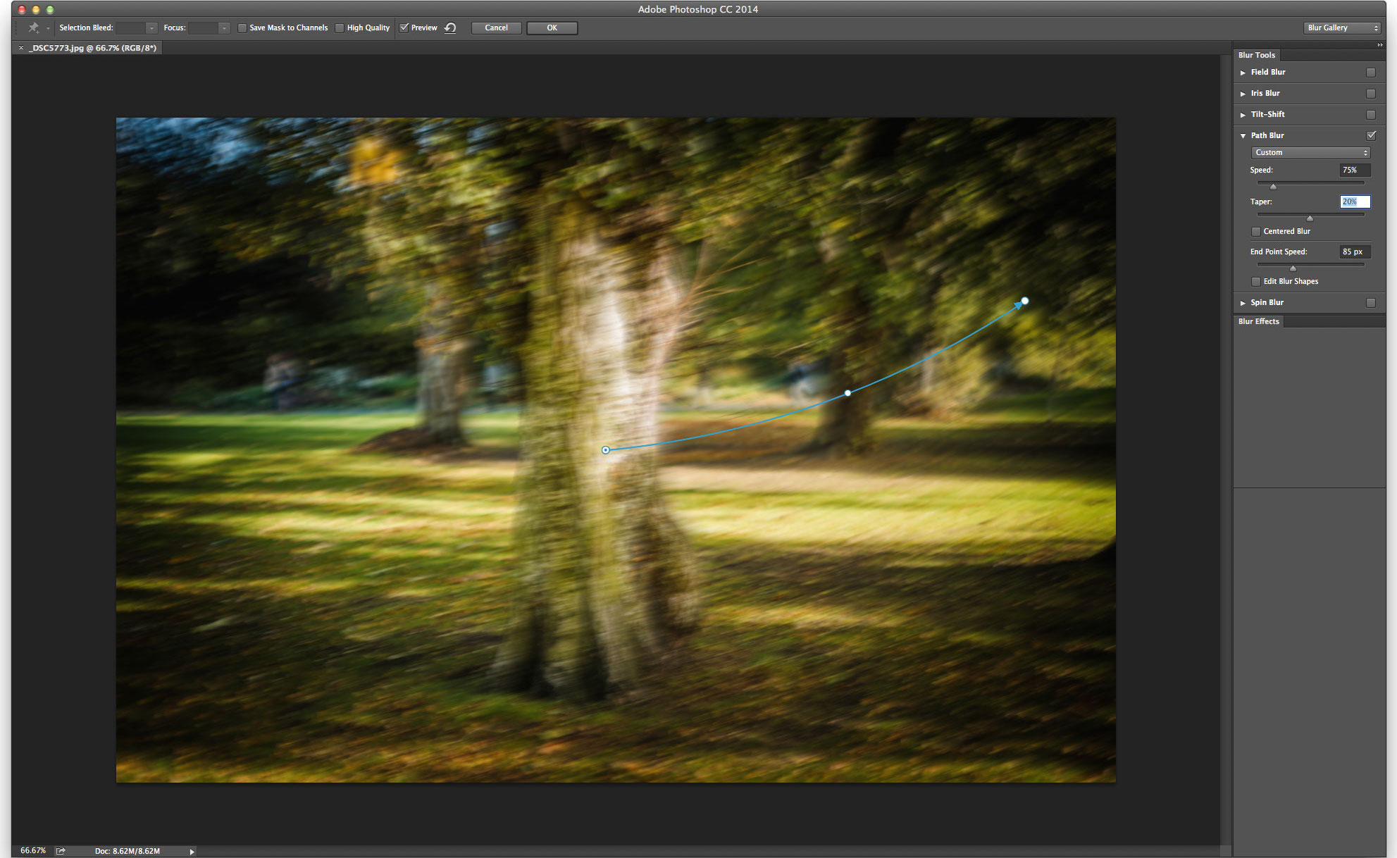 Adobe Photoshop CC 2014 for Mac Blur Dialog (2014)